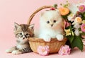 two kittens sitting in a basket against the background of bouquets of flowers Royalty Free Stock Photo